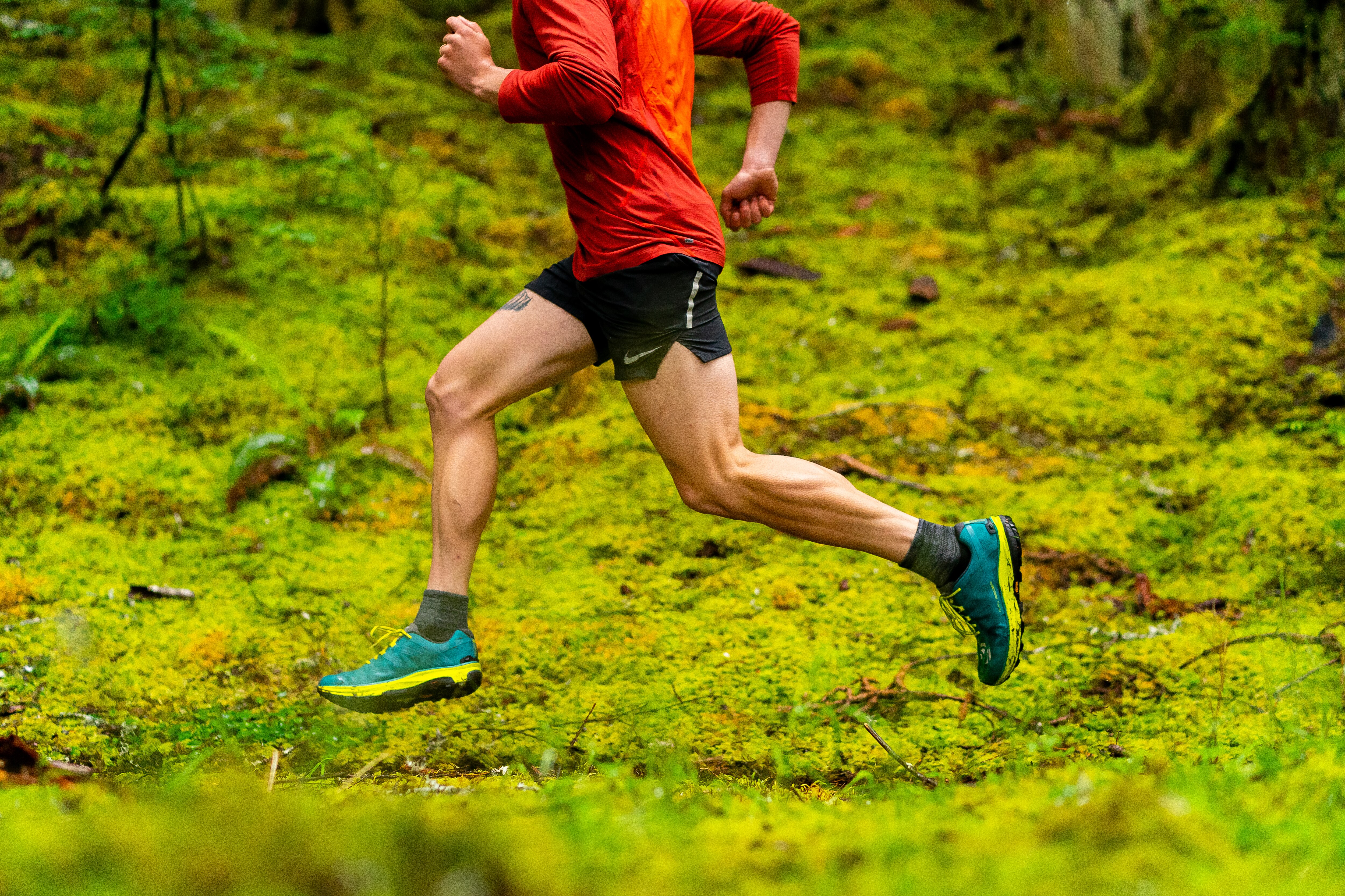 Mtn 94 Color Chart : Montana Colors - MTN 94 - SPECTRO - Transparent