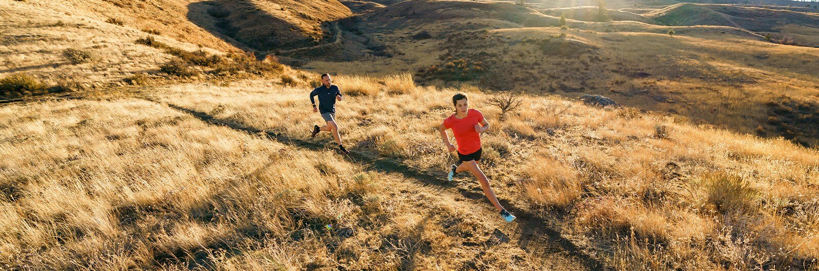 Topo Ambassadors