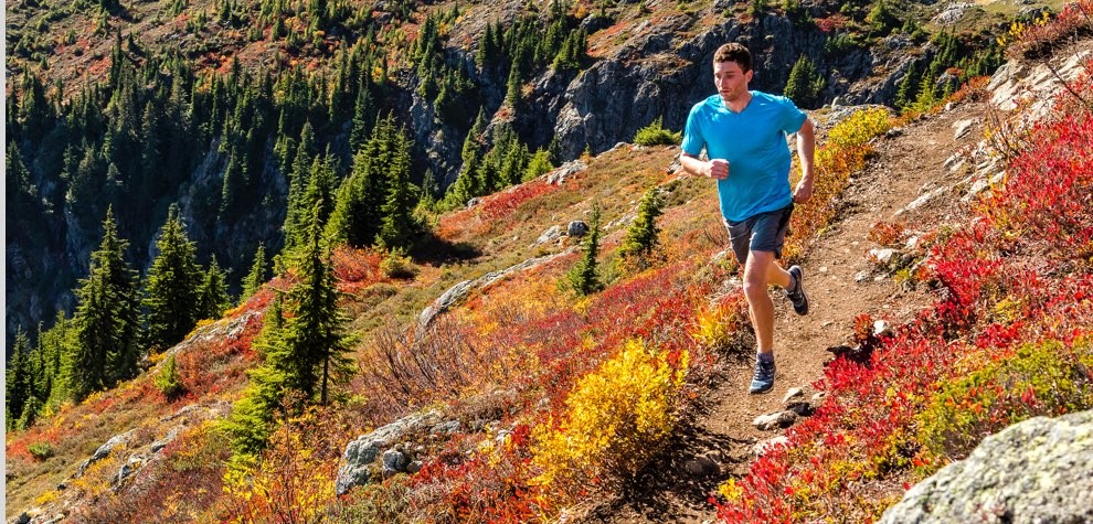 Topo Athletic ACU Running